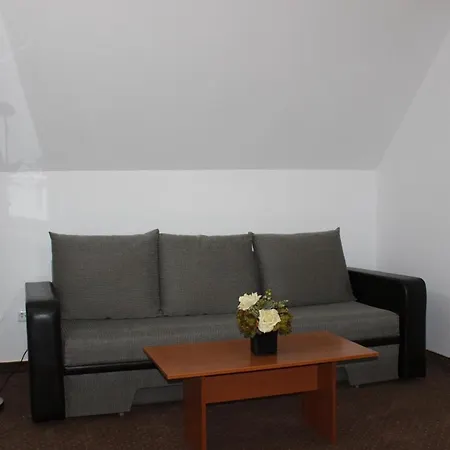 Pensiunea Colina Gasthuis 3*